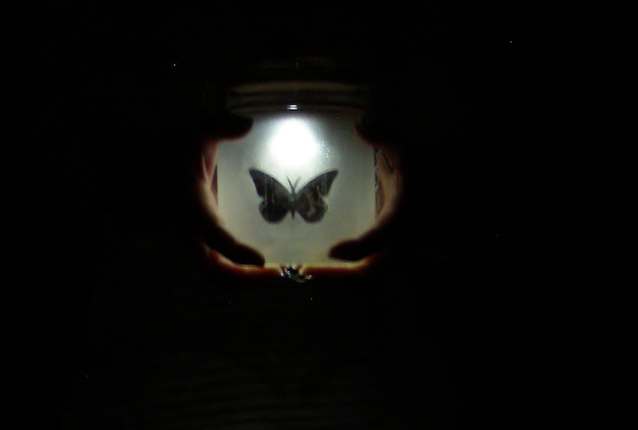 Solar Light Frosted Glass Etched Glass Hanging Lantern Glow Jar With Butterfly Home Patio Porch Lighting Ambient Lighting