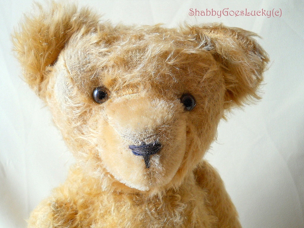 Antique German teddy bear, 1920s golden yellow large hard stuffed fully jointed mohair bear with glass eyes, hump & inset muzzle