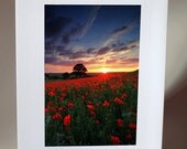Thank You Photo Greeting Card, Poppies Poppy Field Oxfordshire Metallic Photo 8x6