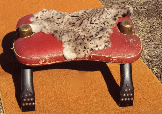 Antique Middle Eastern Camel Saddle