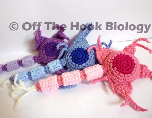 Multicolored Multipolar Neuron