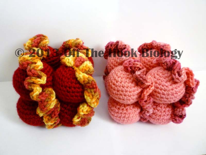 Nifty Nucleosome (Light Pink or Dark Red)
