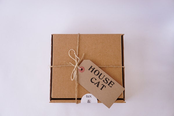 Handmade cat toys // knit gray mouse, felted jingle ball, cat treats // House Cat Box