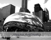 Chicago Bean