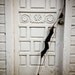 Black Eagle Takedown 60'' AMO Recurve Bow
