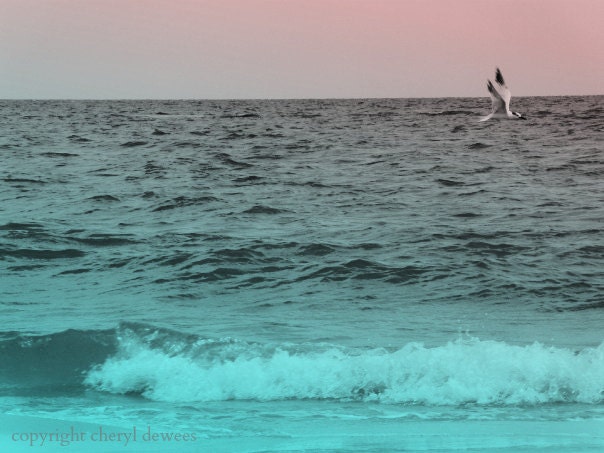 Flight/Fine Art Photography Print/Aqua//Summer/Pink/Gray/Teal/Summer/Blue/Beach/Ocean/Photography/5x7 - PointofViewCreations