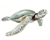 Sea Turtle Animal Watercolor Painting - Art print 8x10 - MundoMeo