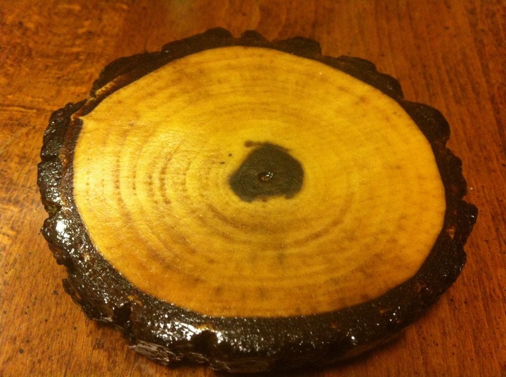 Set of Four Natural Wooden Coasters- Handmade from Salvaged Black Walnut- Recycled Felt Bottom