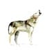 Original watercolor painting of a howling wolf.  Animal painting. Ready to han on the wall Wolf art by Michelle Dujardin.