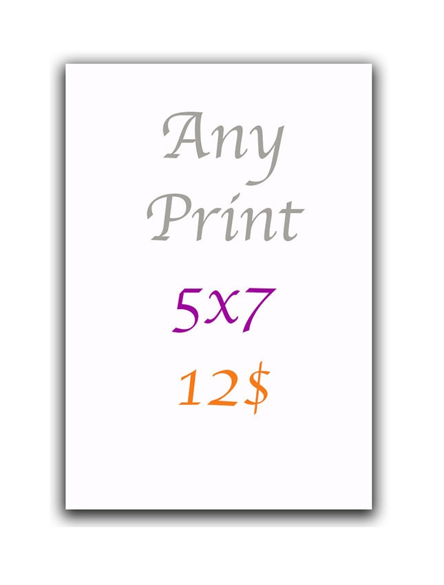Any print  size 5x7" - Home Wall Decor Illustration Watercolor Photography - Contemporary Art Posters.