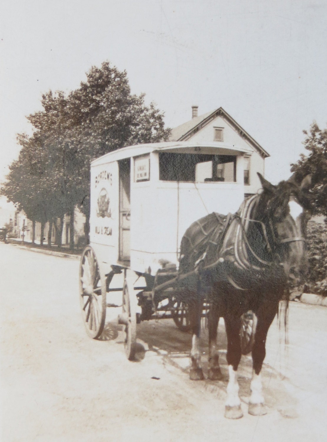 Vintage 1920's Borden's Dairy Horse Drawn Delivery Cart Snapshot Photo - InteriorVintage