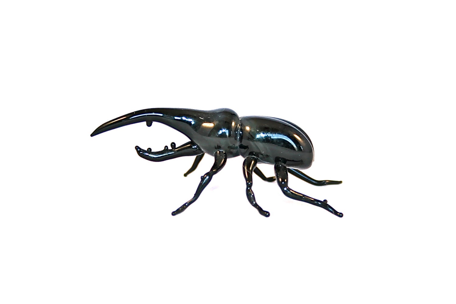 Black Rhino Beetle Glass