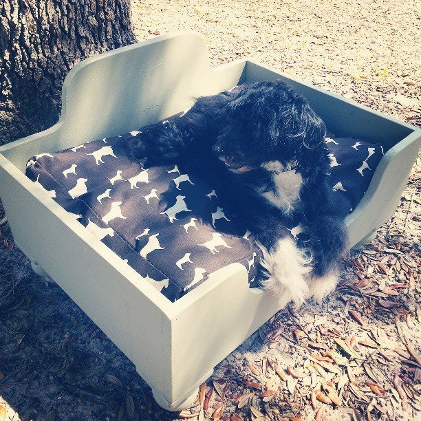 Olive French Farmhouse Style Wooden Dog Bed Small Medium Pet Dog 20 x 30 Ornate Decorative Wooden Legs Large Custom Labrador Pug Boxer