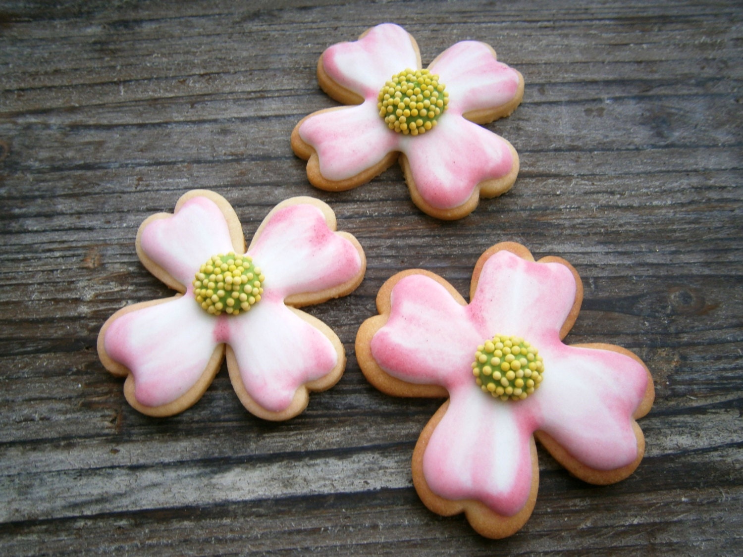 dogwood spring flower cookies - 24cookies