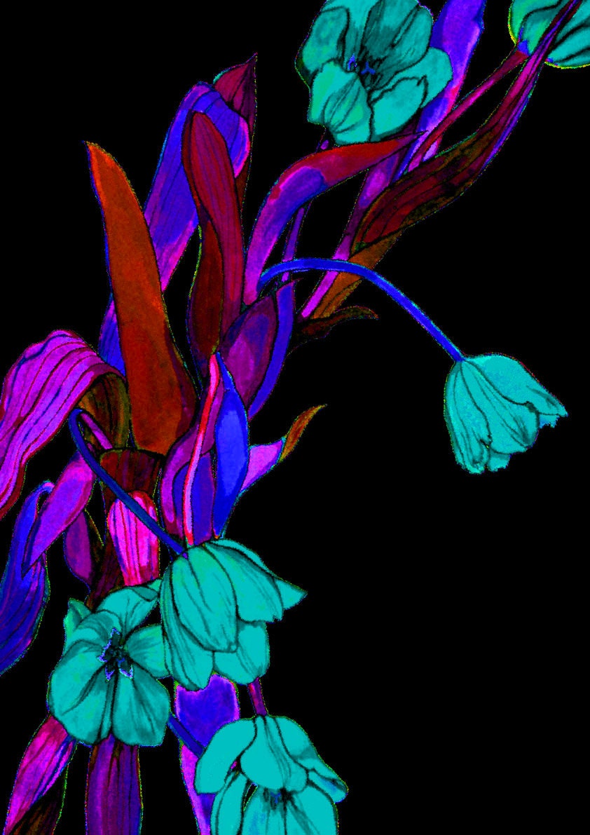 TULIPS IN BLUE Signed Giclee Print A4 - Floral Illustration