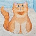 catcalls
