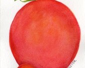 Tomato and Cherry Tomato Watercolor Painting, Vegetable Series, 4 x 6
