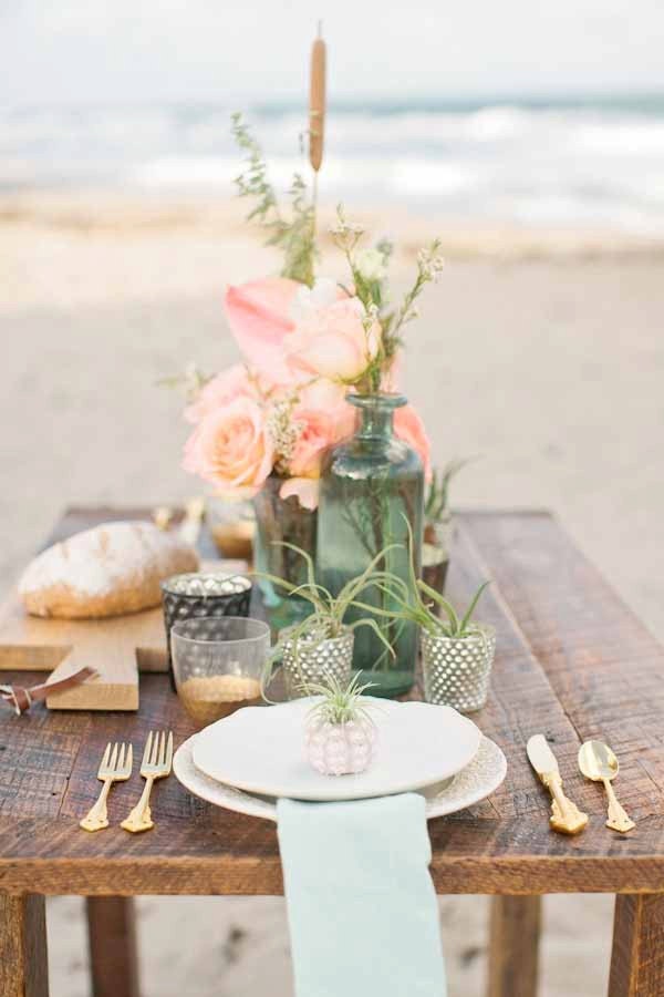 wedding favor // air plant urchins // qty. 50