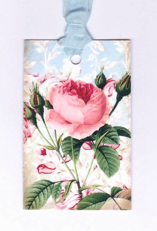 Garden Rose - Pink Rose - Pink and Blue Tags - Gift Tags