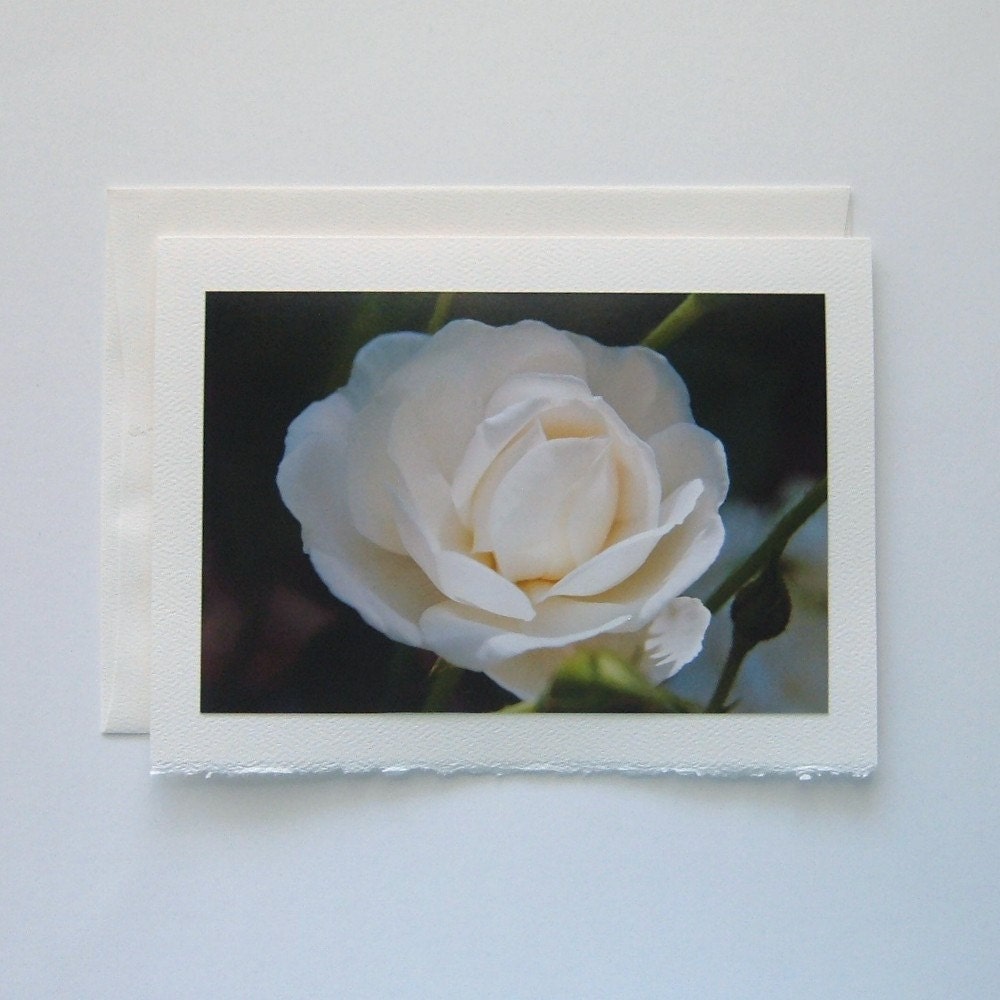 White Rose Photo Note Card, Blank Note Card, Flower Note Card, Greeting Card, All Occasion Card, Sympathy Card, Wedding Card
