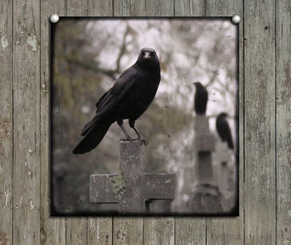 Ravens, Corvid, Necropolis Photograph, Graveyard Crosses - Gather Ye Crows