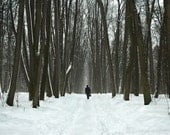 Landscape photography. Man walking down path through forest. Tall trees. Moscow, Russia. 12x18 large format print
