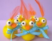 One Dapper Duckie