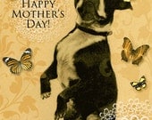 Mothers Day Card Boston Terrier