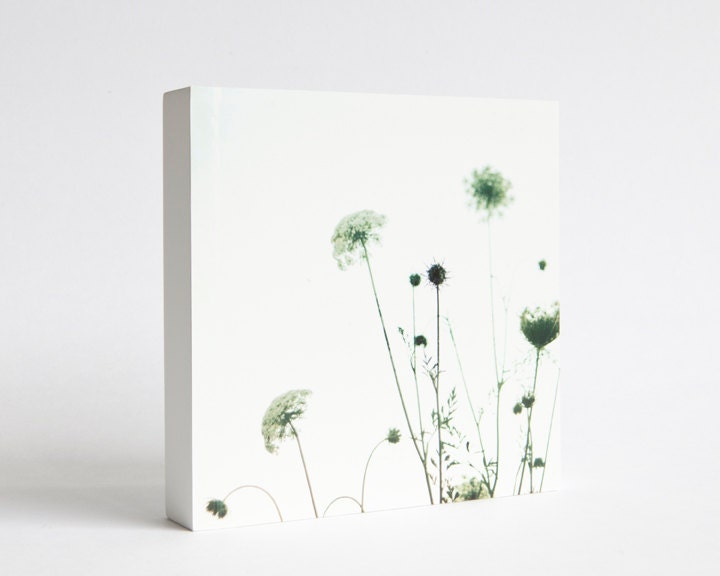 photo art block, queen annes lace, summer evening, pale blue, room decor - as the sun set - photo block