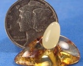 IGMA Artisan Bill Helmer Lathe Turned 1" Scale Baltic Amber Egg on Stand Display