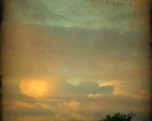 sunset green tree landscape photography clouds 8x12 fine art photography home decor office decor