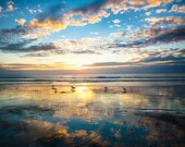 Last Light - Sunset - Beach Photography - Ocean - Original Fine Art Photography