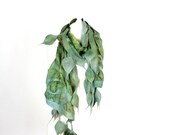 Leaf Nuno Felted Scarf Spring  green and brown