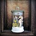 Air Plant Lichen Terrarium / Seahorse & Sea Shell Specimen Jar Terrarium / DIY Kit / Beach Decor