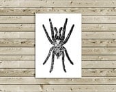 Retro Illustration Black and White Halloween Greeting Card -- Creepy Spider Illustration