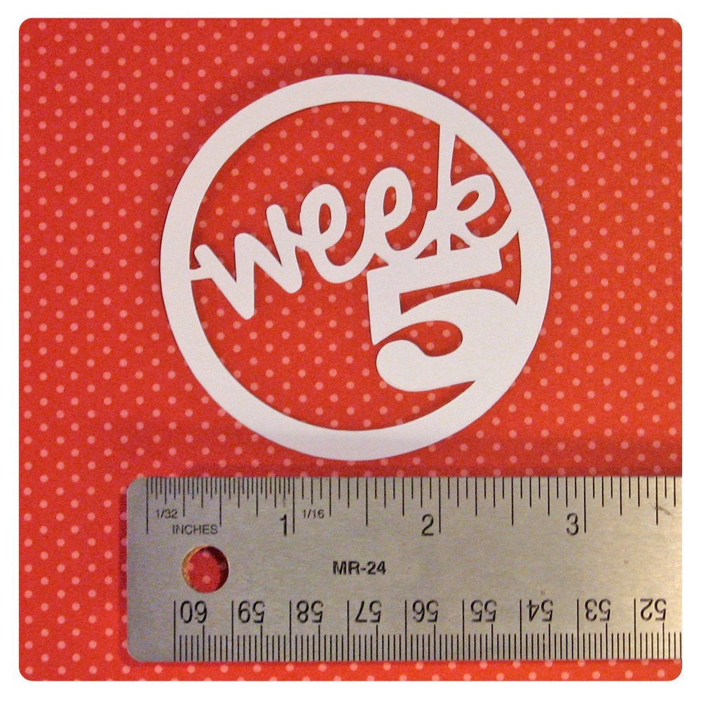 Project Life Circular Numeric Week Tags : Weeks 1 thru 8