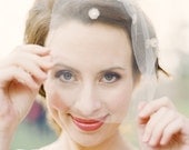 Juliet: birdcage veil with silver vintage detail and crystals