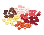 66 Premium Button Embellishments - Indian Summer Assortment Reds Yellow Pink Burgundy Orange Brown Basic Grey Colored Button Embellishments
