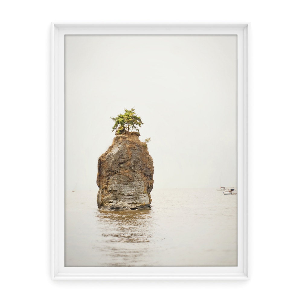 Vancouver 4 (Solo Tree) // 8x10 Fine Art Giclée Print // Photography