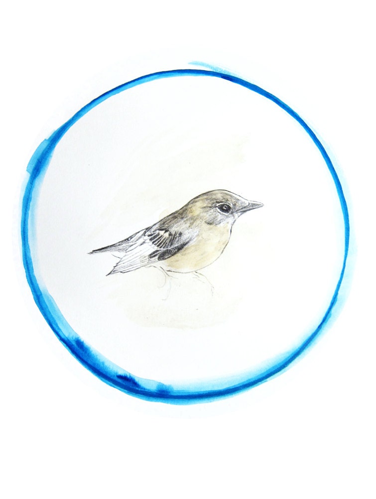 30% Off SALE - I'll Hide with You - Original Illustration - Pencil Drawing - Watercolor Painting - Bird Art - Original Artwork