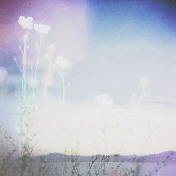 Wildflowers and Water - Film Photograph - Original 8x8 Print