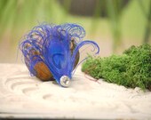 Sparkly Royal Blue Peacock Hair Clip / Comb / Bobby Pin. Simple Elegant Feather Pearl / Rhinestone Accessory. Feminine Girly Teen Statement