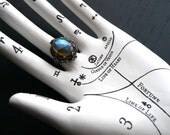 Poseidon's Garden Ring