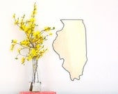 SALE / / / Illinois Mirror Wall Mirror State Silhouette Outline