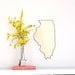 SALE / / / Illinois Mirror Wall Mirror State Silhouette Outline