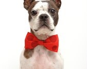 Red Dr Seuss Whimsical Dots Dog Bow Tie - Dog Collar Accessories