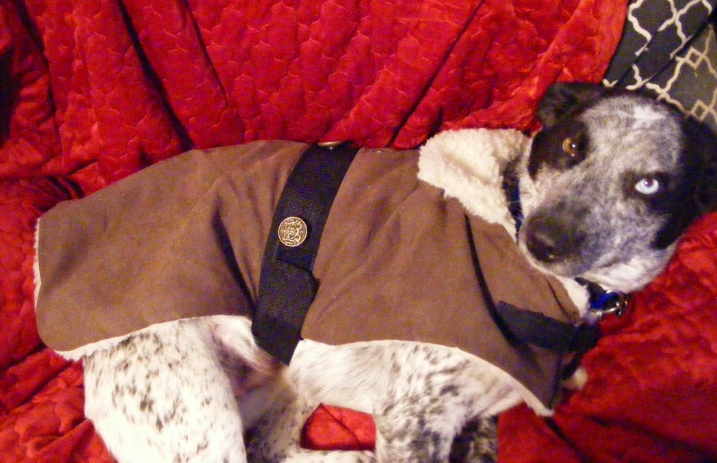 Sherpa-lined dog coat