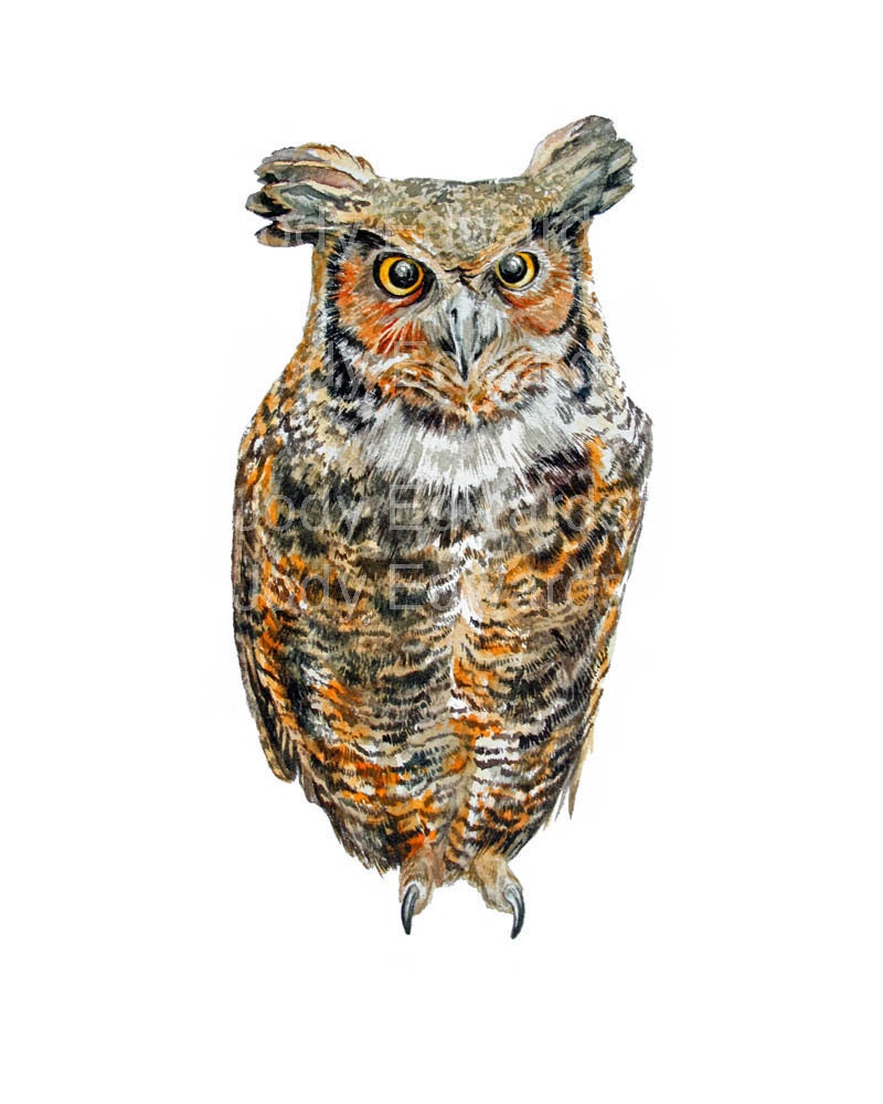 Great Horned Owl Archival Quality Print - From the Original Watercolor