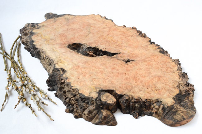 Large Burl Burst Serving Board, Natural Edge Salvaged Maple 850, Ready to Ship