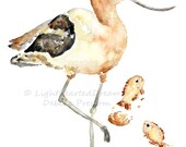 Beach house art, animal painting, beach decor, kids bathroom art, beach art, bird art print, summer decor -  Avocet Beach Puffs